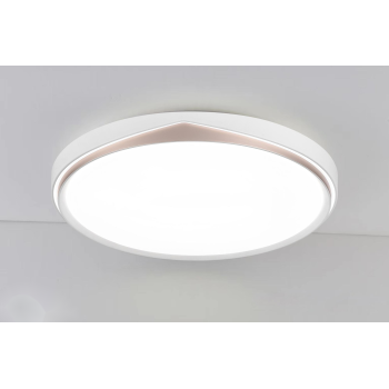 LED Ceiling light /Ceiling light/Bed room light