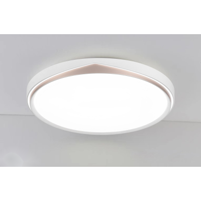 LED Ceiling light /Ceiling light/Bed room light