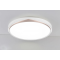 LED Ceiling light /Ceiling light/Bed room light