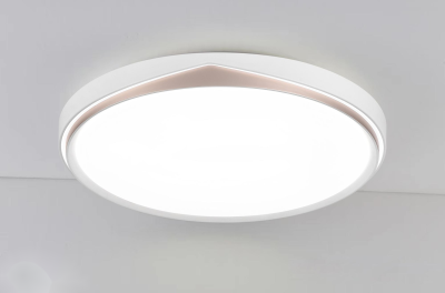 LED Ceiling light /Ceiling light/Bed room light