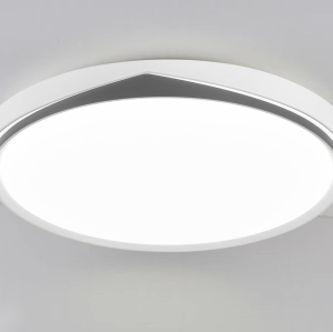 LED Ceiling light /Ceiling light/Bed room light
