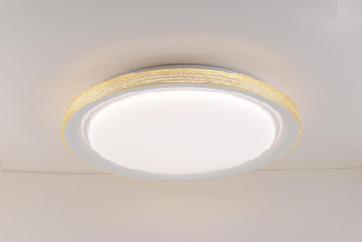 LED Ceiling light /Ceiling light/Bed room light