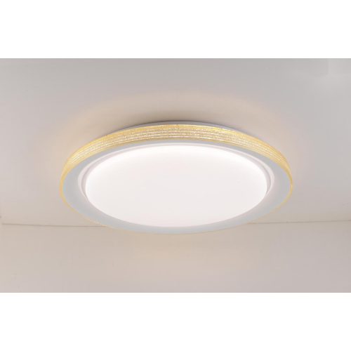 LED Ceiling light /Ceiling light/Bed room light