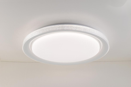LED Ceiling light /Ceiling light/Bed room light
