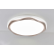 LED Ceiling light /Ceiling light/Bed room light