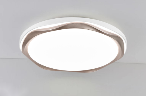 LED Ceiling light /Ceiling light/Bed room light