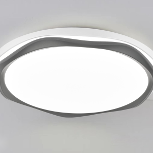 LED Ceiling light /Ceiling light/Bed room light