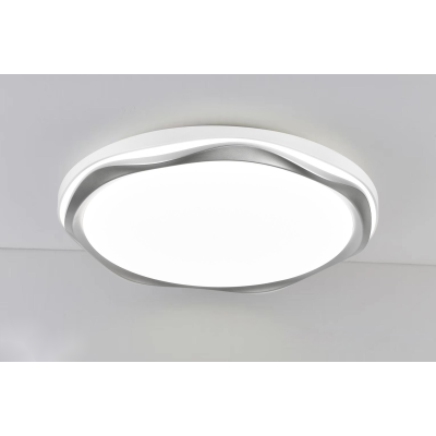 LED Ceiling light /Ceiling light/Bed room light