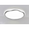 LED Ceiling light /Ceiling light/Bed room light