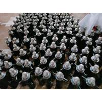 1*20Gp Telescopic Cylinders To European Market