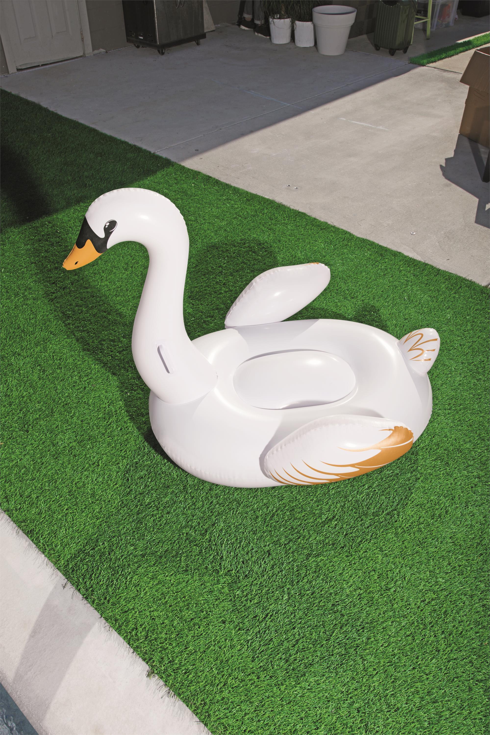 Little swan mount