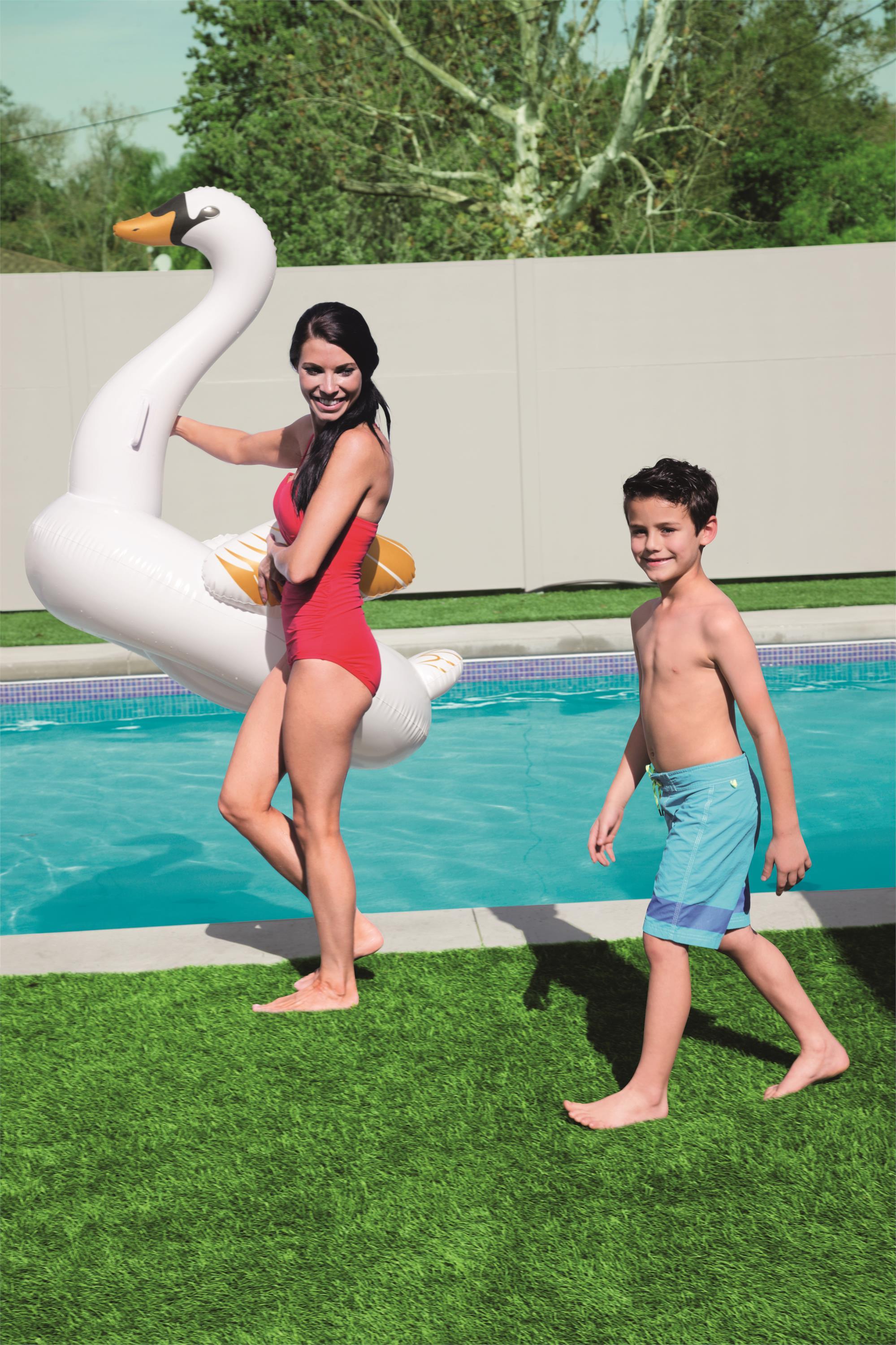 Little swan mount