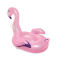 Little flamingo mount