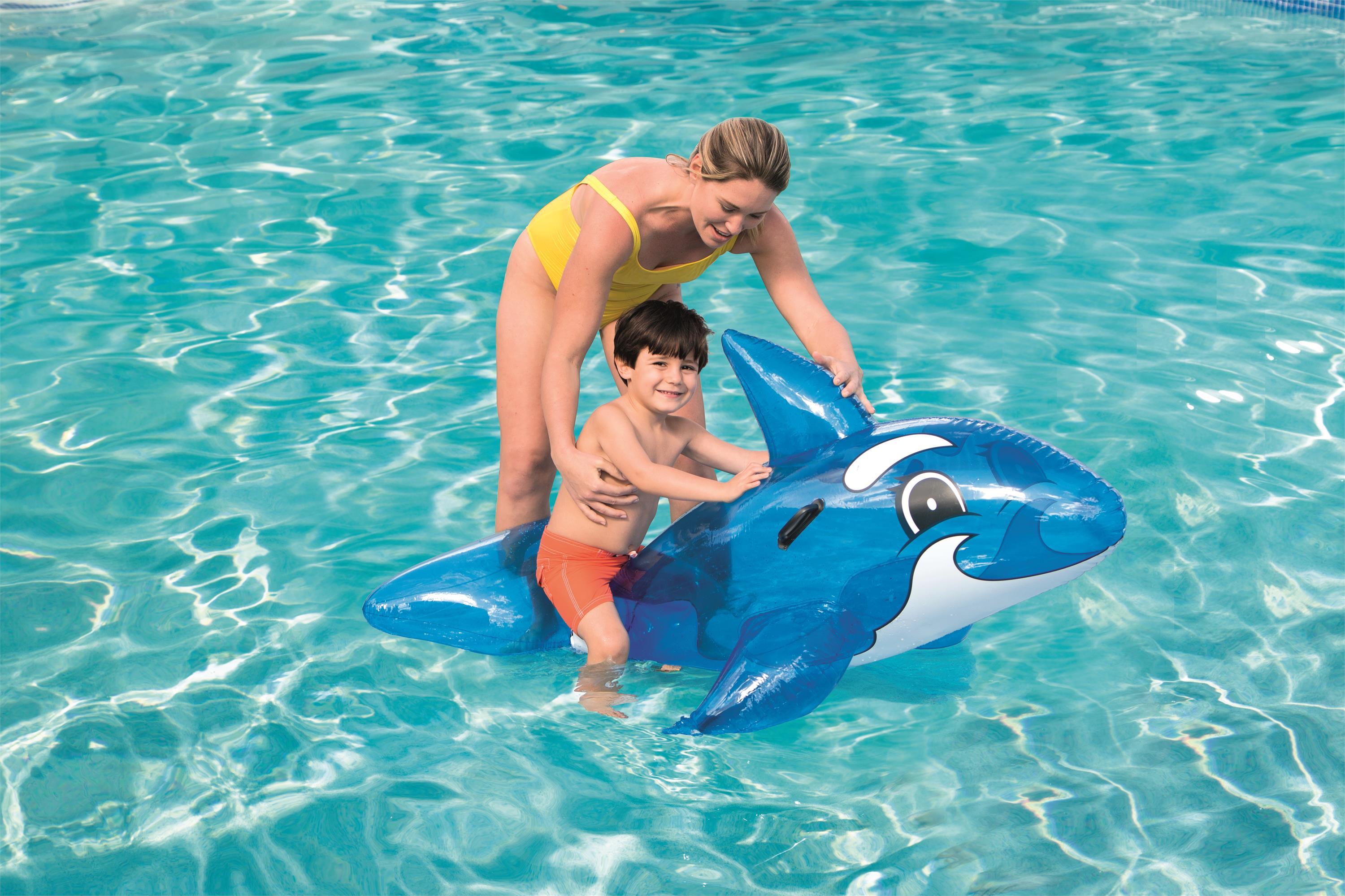 Whale mount