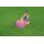 Bestway Kiddie Pool 51033 for child over 2+ ages