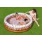 BestwaySundae Funday Kiddie Pool 51144 for child over 2+ ages