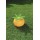 Bestway Pineapple Blast 52234 for child over 2+ ages