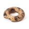 Bestway Cookie Swim Ring 36164 for child ages 12+