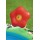 Bestways Friendly Woods Play Center 53093 for child over 2+ ages