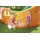 H2OGO! Huricane Tunnel Blast_Mega Water Park 53303 for child aged 5-10