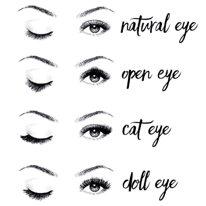 Is there a free eyelash sample? Can I customize it?