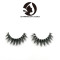 make up lashes clear band in bulk lashes with wholesale custom box