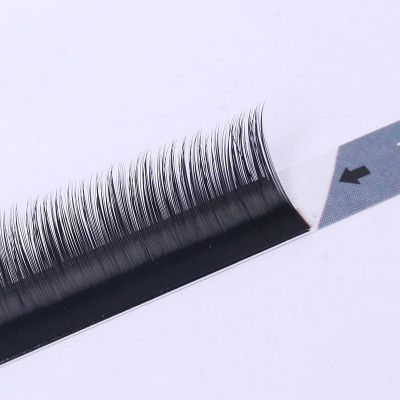 中国China0.05粗山茶花嫁接假睫毛 浓密卷翘秒开花种植眼睫毛 批发