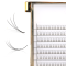 Best Quality narrow fans  3D Volume Lashes 0.1mm D curl 13mm Individual False Eyelash Extensions