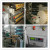 Web Fed Automatic Flexo Printing Machine