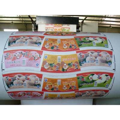 Web Fed Automatic Flexo Printing Machine