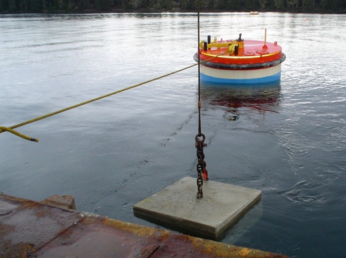 quick release hook buoys