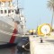 EVA Polyurea Spraying Coating Dock Cushion Foam Filled Fender For Ship Boat