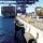 Solid Rubber Fender Marine Boat Dock Fender Mooring Fender for Ship Protection