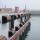 Marine Solid Rubber Bumper D Type Fender For Ship Protection