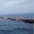 Floating Marine Oil Hose For Crude Oil Transfer Rubber Hose