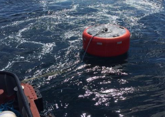 foam filled mooring buoy