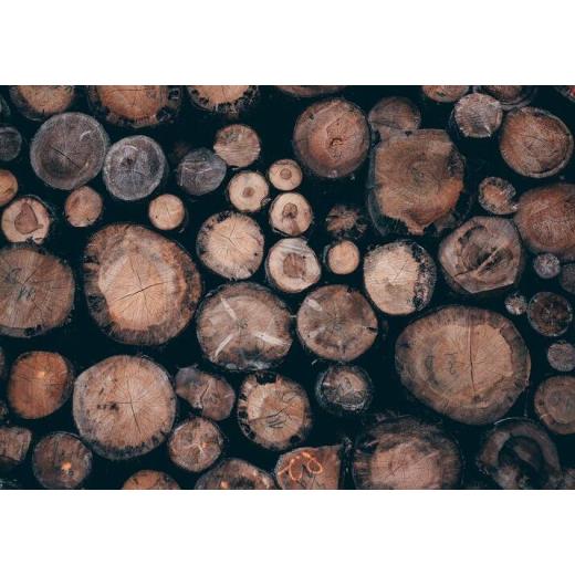 Eco friendly materials are more important than any time