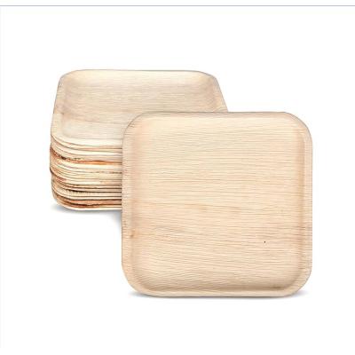Compostable eco friendly areca palm leaf disposable square plates 25pcs 8inch 10inch