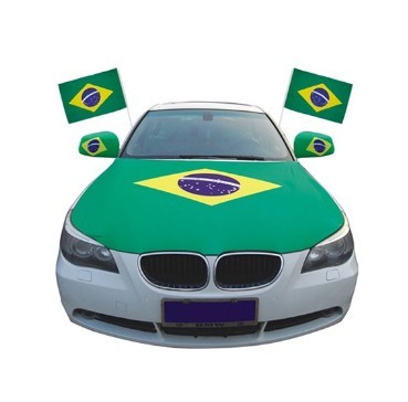 Hot Sale Custom Logo Car Flag For Advertising With Plastic Pole