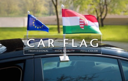 Hot Sale and High Quality Custom Logo Car Flag With Plastic Pole