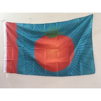 Hot sale high quality manufacturer of 3x5ft white sleeve custom flags with two grommets