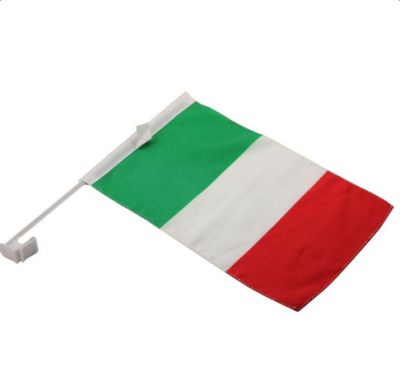 Custom printing 100%polyester car flags with plastic pole