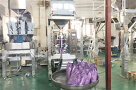 linear weigher vertical packing line