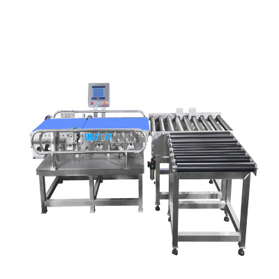 10-50kg Case Bulk Box Check Weigher Automactic Weigh Checker 20kg Checkweigher Machine