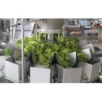 Large 14 Head Salad Multihead Weigher Salad Weighing Scale