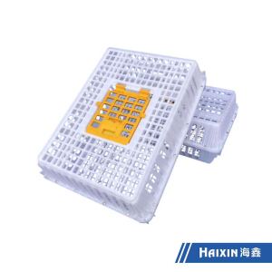 Haixin Vacuum Casting Plastic/Turnover Plastic Duck/Chicken/Pigeon Basket Transport