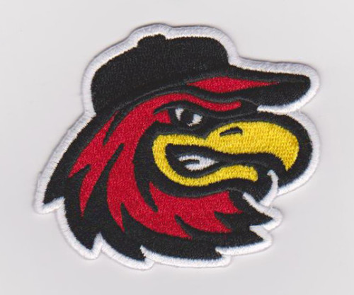 Embroidery service custom owl animal logo 100% machine embroidery patches