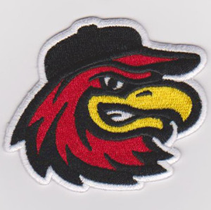 Embroidery service custom owl animal logo 100% machine embroidery patches
