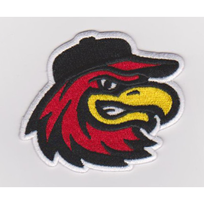 Embroidery service custom owl animal logo 100% machine embroidery patches