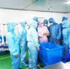 Donghua University teachers and students visit BQ+Medical.